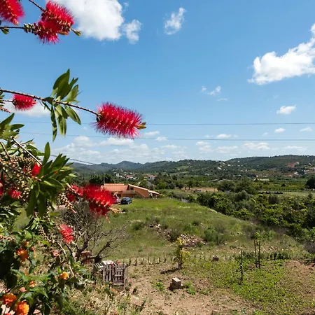 Charming 3 Bedroom Nestled Amongst The Orange Groves Of Silves, Algarve, Portugal