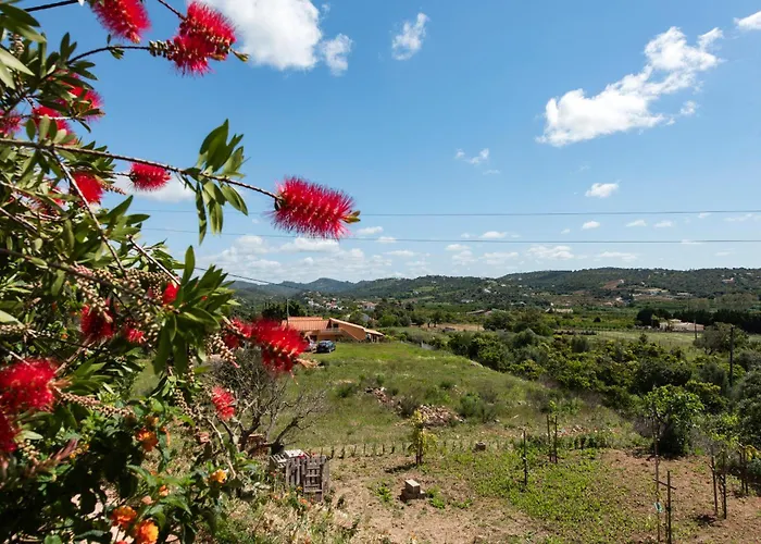 Charming 3 Bedroom Nestled Amongst The Orange Groves Of Silves, Algarve, Portugal