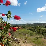 Charming 3 Bedroom Nestled Amongst The Orange Groves Of Silves, Algarve, Portugal