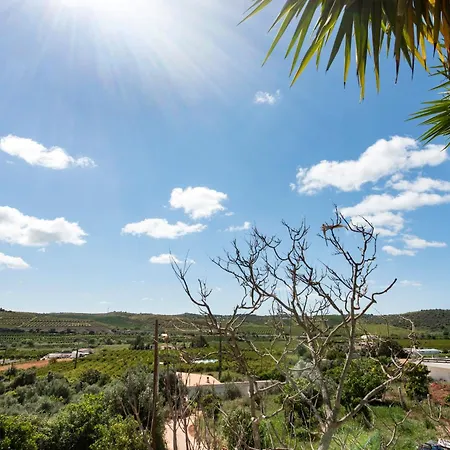 Charming 3 Bedroom Nestled Amongst The Orange Groves Of Silves, Algarve, Portugal Silves